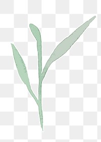 Green plant botanical transparent png watercolor sticker