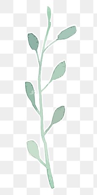 Green plant transparent png watercolor sticker