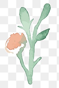 Flower plant botanical transparent png watercolor sticker