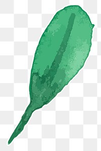 Botanical green leaf transparent png watercolor sticker