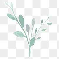 Beautiful plant transparent png hand drawn sticker element