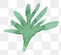 Beautiful plant transparent png hand drawn sticker element