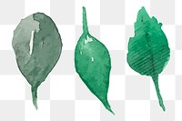 Hand drawn green leaf sticker png watercolor decorative set