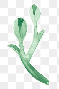Green leaf botanical transparent png hand drawn sticker 