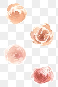 Rose and peony png vintage watercolor sticker set
