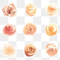 Hand drawn roses watercolor png transparent decorative set