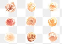 Hand drawn roses watercolor png decorative collection