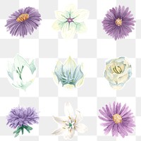 Summer flower diary sticker png set