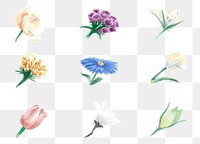 Hand drawn flowers png colorful watercolor decorative set