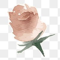 Rose flower transparent png watercolor sticker