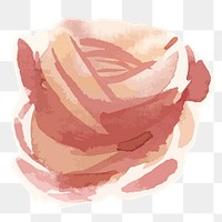 Red rose flower transparent png watercolor sticker