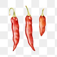 Vintage red chili sticker png illustration