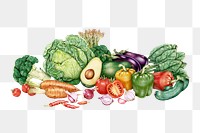 Fresh vegetables assorted png or illustration