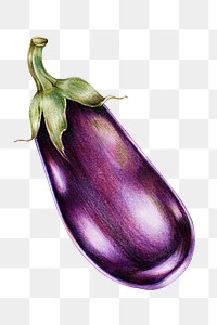 Vintage purple eggplant sticker png illustration