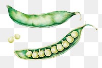 Vintage green peas sticker png illustration