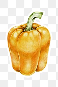 Organic food png yellow bell pepper drawing illustration