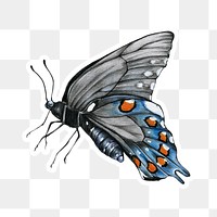 Vintage blue butterfly drawing png illustration