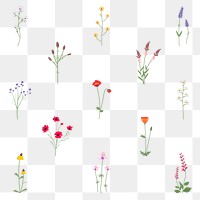 Png wildflower diary sticker floral illustration set