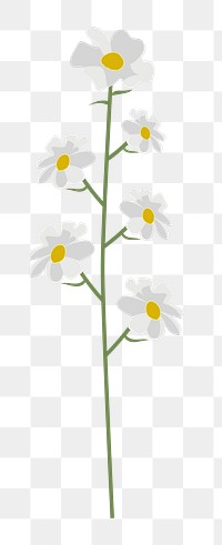 Png daisy flower diary sticker floral illustration