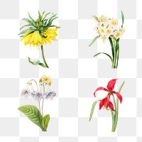 Flower sticker overlay design element set 