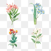 Flower sticker overlay design resource set 