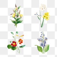Flower sticker design element set 