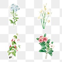 Flower sticker design element set 