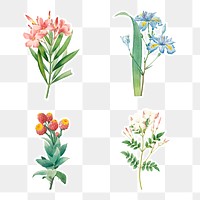 Flower sticker overlay design resource set 