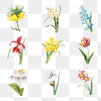 Flower sticker overlay design element set 