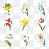 Flower sticker overlay design element set 