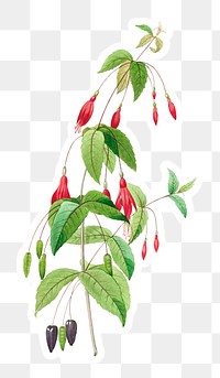 Fuschia flower sticker overlay design element 