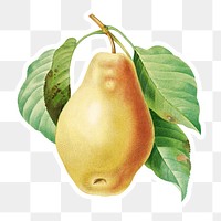 Pear fruit sticker overlay design element 