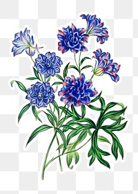 Vintage blue chrysanthemum flower sticker with a white border design element