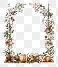 Vintage png botanical frame with transparent background