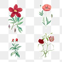 Vintage tropical flower sticker design element set