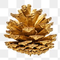 A gold pine cone Christmas ornament on transparent