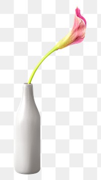 Pink calla lily flower in a white vase mockup