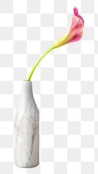 Pink calla lily flower in a white marble vase mockup