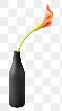 Pink calla lily flower in a black vase mockup