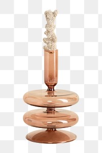 White coral on the top of the glass vase
