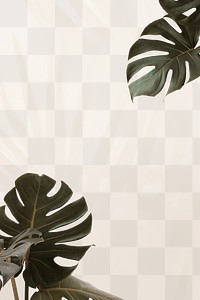 Green Monstera leaves png background