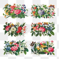 Vintage flower arrangement illustration set transparent png
