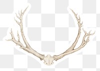 Vintage hand drawn deer antlers sticker with white border