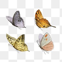 Vintage butterfly illustrations set transparent png