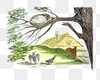 PNG Drawing of a bird nest on a tree, transparent background