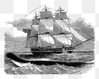 PNG Drawing of a sailing ship, transparent background