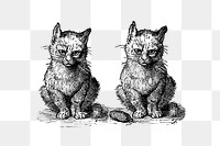 PNG Vintage Victorian style cats engraving, transparent background