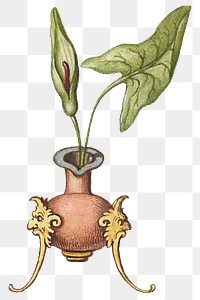 Png Victorian green plant in a vase decorative
