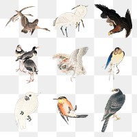 Vintage illustration of birds set design element