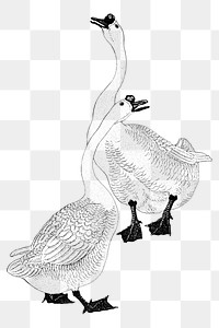 Gray line art geese bird design element